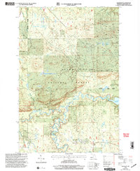 Download a high-resolution, GPS-compatible USGS topo map for Oak Bluff, MI (2004 edition)