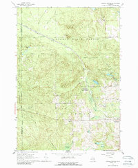 Download a high-resolution, GPS-compatible USGS topo map for Ogemaw Springs, MI (1988 edition)