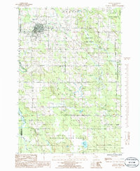 Download a high-resolution, GPS-compatible USGS topo map for Onaway, MI (1986 edition)
