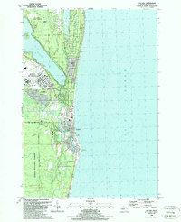 Download a high-resolution, GPS-compatible USGS topo map for Oscoda, MI (1989 edition)