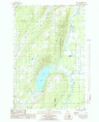 Download a high-resolution, GPS-compatible USGS topo map for Otter Lake, MI (1985 edition)