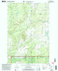 Download a high-resolution, GPS-compatible USGS topo map for Pelkie, MI (2004 edition)