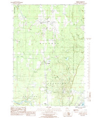 Download a high-resolution, GPS-compatible USGS topo map for Perkins, MI (1985 edition)