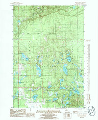 Download a high-resolution, GPS-compatible USGS topo map for Powell Lake, MI (1985 edition)