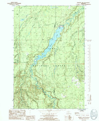 Download a high-resolution, GPS-compatible USGS topo map for Prickett Lake, MI (1986 edition)