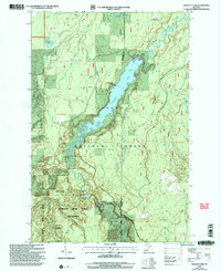 Download a high-resolution, GPS-compatible USGS topo map for Prickett Lake, MI (2004 edition)