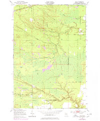 Download a high-resolution, GPS-compatible USGS topo map for Raco, MI (1978 edition)