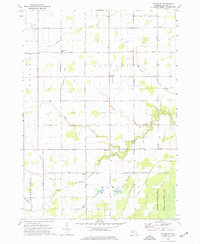 Download a high-resolution, GPS-compatible USGS topo map for Rathbone, MI (1977 edition)