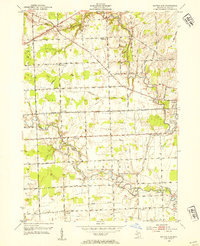 Download a high-resolution, GPS-compatible USGS topo map for Rattle Run, MI (1954 edition)