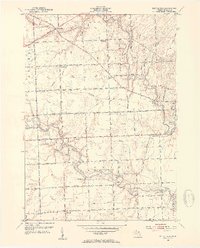 Download a high-resolution, GPS-compatible USGS topo map for Rattle Run, MI (1954 edition)