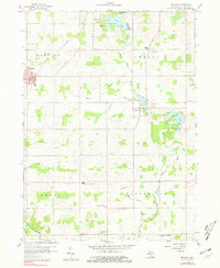 Download a high-resolution, GPS-compatible USGS topo map for Reading, MI (1981 edition)