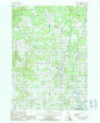 Download a high-resolution, GPS-compatible USGS topo map for Reed City North, MI (1987 edition)