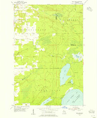 Download a high-resolution, GPS-compatible USGS topo map for Rice Lake, MI (1955 edition)