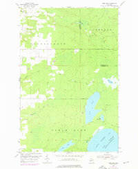 Download a high-resolution, GPS-compatible USGS topo map for Rice Lake, MI (1976 edition)