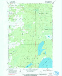 Download a high-resolution, GPS-compatible USGS topo map for Rice Lake, MI (1992 edition)