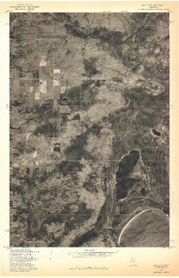 Download a high-resolution, GPS-compatible USGS topo map for Rice Lake, MI (1978 edition)