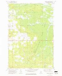 preview thumbnail of historical topo map of Luce County, MI in 1973