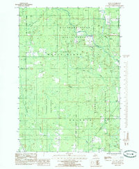 Download a high-resolution, GPS-compatible USGS topo map for Rock SE, MI (1985 edition)