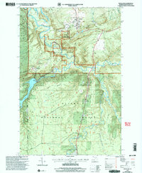 Download a high-resolution, GPS-compatible USGS topo map for Rockland, MI (2004 edition)