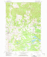 Download a high-resolution, GPS-compatible USGS topo map for Rose City, MI (1982 edition)