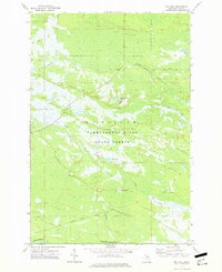 Download a high-resolution, GPS-compatible USGS topo map for Roy Lake, MI (1977 edition)