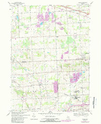 Download a high-resolution, GPS-compatible USGS topo map for Salem, MI (1989 edition)