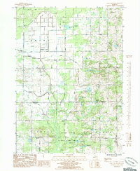 Download a high-resolution, GPS-compatible USGS topo map for Sand Lake SW, MI (1985 edition)