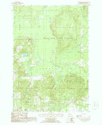 Download a high-resolution, GPS-compatible USGS topo map for Saunders Creek, MI (1986 edition)