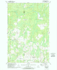 preview thumbnail of historical topo map of Delta County, MI in 1989