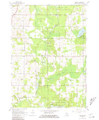 Download a high-resolution, GPS-compatible USGS topo map for Selkirk, MI (1981 edition)