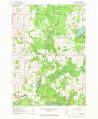 Download a high-resolution, GPS-compatible USGS topo map for Selkirk, MI (1966 edition)