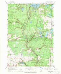 Download a high-resolution, GPS-compatible USGS topo map for Skidway Lake, MI (1971 edition)