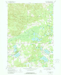 Download a high-resolution, GPS-compatible USGS topo map for South Branch, MI (1989 edition)