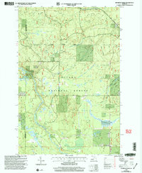 Download a high-resolution, GPS-compatible USGS topo map for Sparrow Rapids, MI (2004 edition)