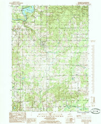 Download a high-resolution, GPS-compatible USGS topo map for Stanwood, MI (1985 edition)