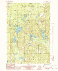 preview thumbnail of historical topo map of Kalkaska County, MI in 1985