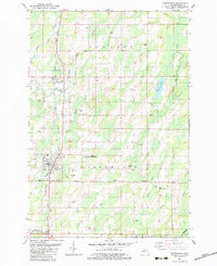 preview thumbnail of historical topo map of Stephenson, MI in 1982