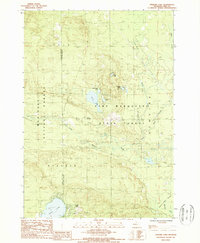 Download a high-resolution, GPS-compatible USGS topo map for Stewart Lake, MI (1988 edition)