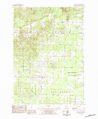 Download a high-resolution, GPS-compatible USGS topo map for Stittsville, MI (1984 edition)