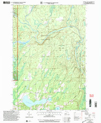 Download a high-resolution, GPS-compatible USGS topo map for Sunset Lake, MI (2004 edition)