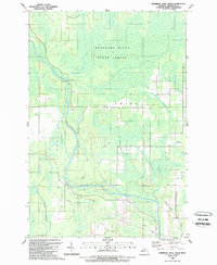 Download a high-resolution, GPS-compatible USGS topo map for Swimming Hole Creek, MI (1989 edition)