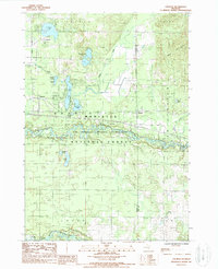 preview thumbnail of historical topo map of Mason County, MI in 1987