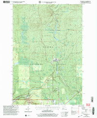 Download a high-resolution, GPS-compatible USGS topo map for Thomaston, MI (2004 edition)