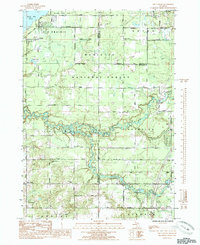 preview thumbnail of historical topo map of Newaygo County, MI in 1985