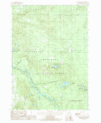 preview thumbnail of historical topo map of Lake County, MI in 1987