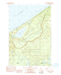 preview thumbnail of historical topo map of Alger County, MI in 1983