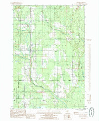 Download a high-resolution, GPS-compatible USGS topo map for Trenary, MI (1985 edition)