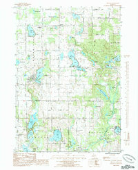 Download a high-resolution, GPS-compatible USGS topo map for Trufant, MI (1985 edition)
