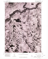 Download a high-resolution, GPS-compatible USGS topo map for Twin Lake NW, MI (1979 edition)