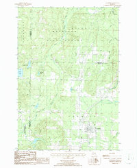 Download a high-resolution, GPS-compatible USGS topo map for Vanderbilt, MI (1986 edition)